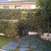 Hormigón impreso en patio trasero