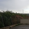 Desbrozar Jardín