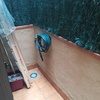Revestimiento patio