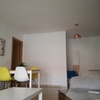 Pulir Suelo Vivienda (Parcial)