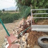 Reparar Muro Bloque