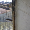 Instalar Persianas Metálicas