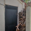 Derribar Muro
