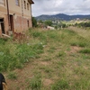 Desbrozar Jardín