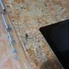 Suministrar Piezas Mármol o Granito