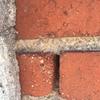 Proyecto de rehabilitar de Fachada Edificio