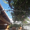Instalar Toldo Vivienda