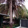 Jardineria