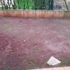 Cesped Artificial