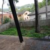 Desbrozar Jardín