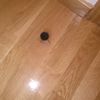 Poner Parquet o Tarima Vivienda (Completa)