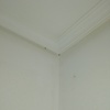 Limpieza Vivienda (1 vez)