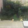 Desbrozar Jardín