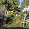 Mantener Jardín