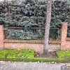 Construir Muro Bloque