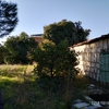 Construir Estructura De Casa
