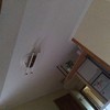 Pequeños Trabajos Instalación Eléctrica