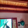 Tratar carcoma y/o termitas