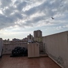 Cortinas Cristal