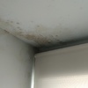 Pintura piso 100m