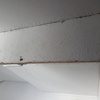 Reparar Carpintería Madera