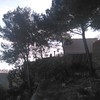 Talar árboles
