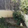 Hacer puesta a punto de jardín