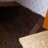 Reforma Vivienda
