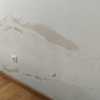 Pintar Interior De Vivienda