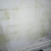 Impermeabilización Parcial Vivienda O Local