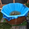 Construir Piscina Obra