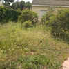 Desbrozar Jardín