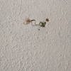 Pequeños Trabajos Instalación Eléctrica