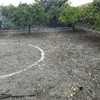 Movimiento de Tierras