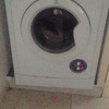 Reparación Electrodomésticos