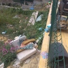 Proyecto y Construcción Piscina