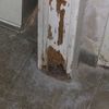 Reforma parcial vivienda