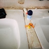 Limpieza Vivienda (1 vez)