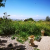 Desbrozar Jardín