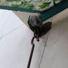 Motoritzar tendals i persianes