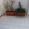 Diseñar Jardín