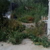 Desbrozar Jardín