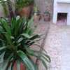 Reformar jardín