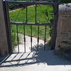 Mantener Jardín