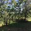 Desbrozar Jardín