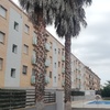 Talar árboles