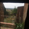 Desbrozar Jardín