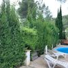 Mantener Jardín