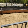 Construir Piscina Obra