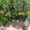 Eliminar pequeño jardín